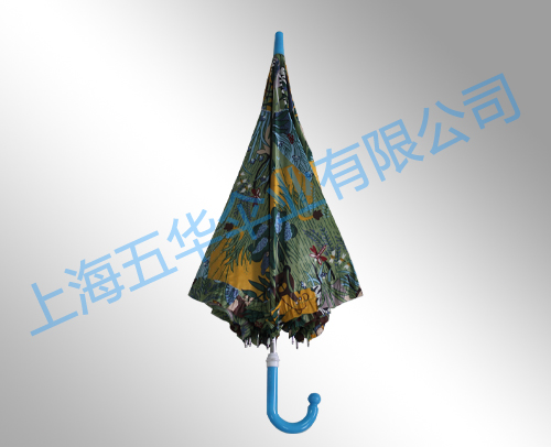 长伞