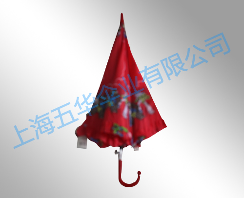 长伞